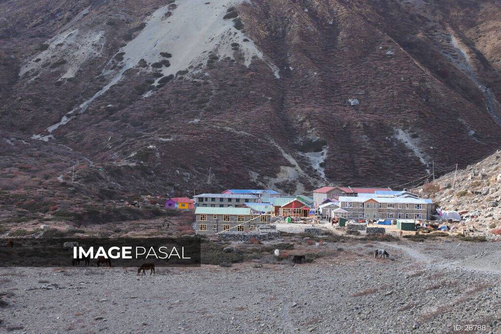 Tilicho Lake Trek