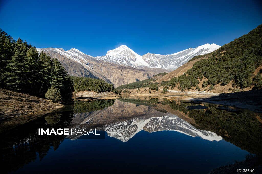 Titi Lake, Mustang